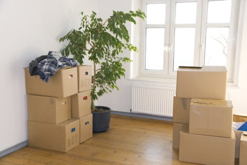 Seasonal household storage boxes arranged neatly in Cranford home