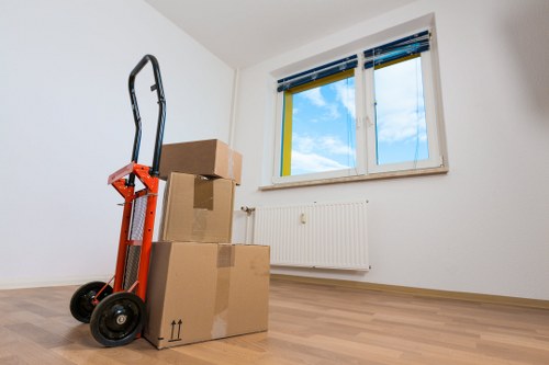 Professional man and van loading boxes and furniture